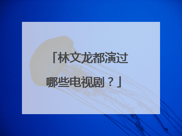 林文龙都演过哪些电视剧?