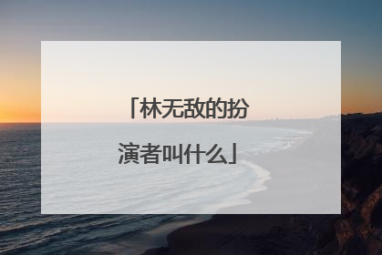 林无敌的扮演者叫什么