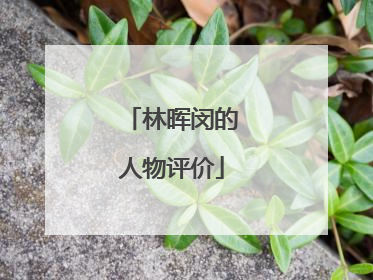 林晖闵的人物评价