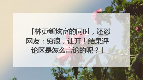 林更新炫富的同时，还怼网友：穷浪，让开！结果评论区是怎么言论的呢？