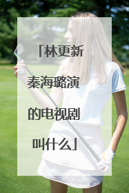 林更新秦海璐演的电视剧叫什么