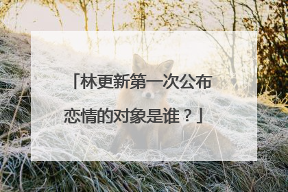 林更新第一次公布恋情的对象是谁?