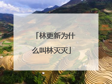 林更新为什么叫林灭灭