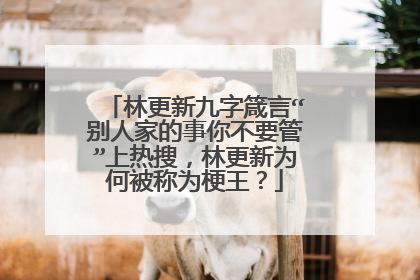 林更新九字箴言“别人家的事你不要管”上热搜，林更新为何被称为梗王？