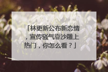 林更新公布新恋情，宣传骚气靠沙雕上热门，你怎么看？