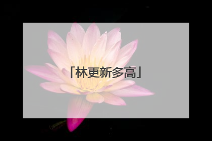 林更新多高