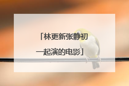 林更新张静初一起演的电影