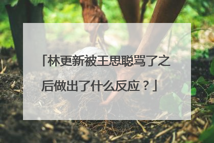林更新被王思聪骂了之后做出了什么反应?