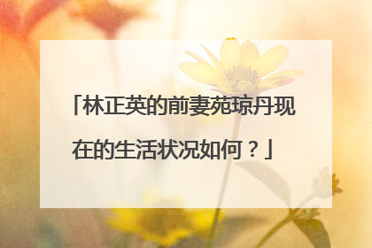 林正英的前妻苑琼丹现在的生活状况如何？