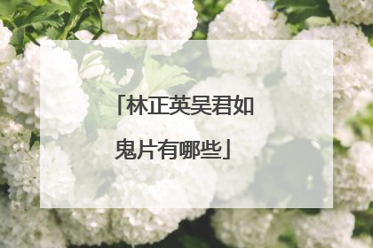 林正英吴君如鬼片有哪些