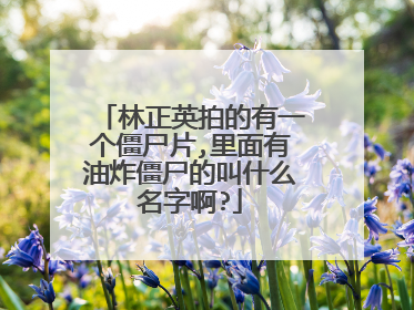 林正英拍的有一个僵尸片,里面有油炸僵尸的叫什么名字啊?