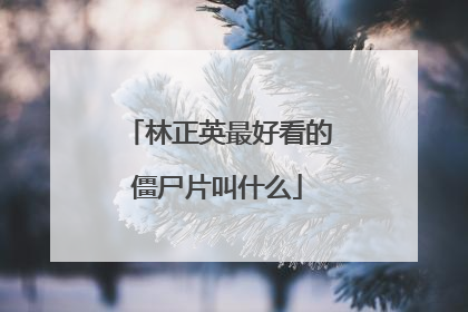 林正英最好看的僵尸片叫什么