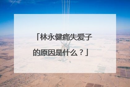 林永健痛失爱子的原因是什么？