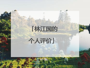 林江国的个人评价