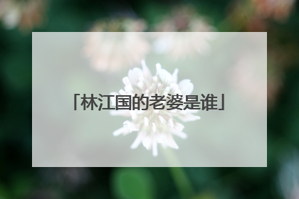 林江国的老婆是谁