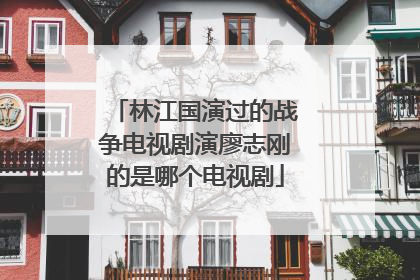 林江国演过的战争电视剧演廖志刚的是哪个电视剧