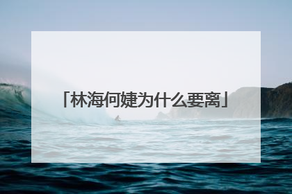 林海何婕为什么要离