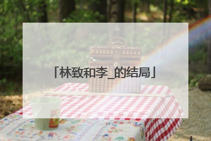 林致和李_的结局