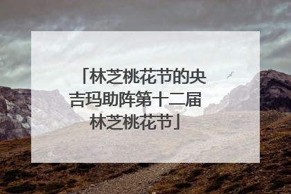 林芝桃花节的央吉玛助阵第十二届林芝桃花节