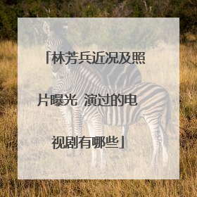 林芳兵近况及照片曝光 演过的电视剧有哪些