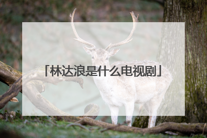 林达浪是什么电视剧