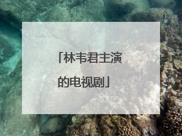 林韦君主演的电视剧