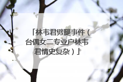 林韦君劈腿事件（台偶女二专业户林韦君情史复杂）