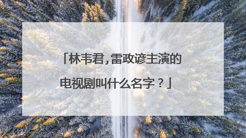 林韦君,雷政谚主演的电视剧叫什么名字？
