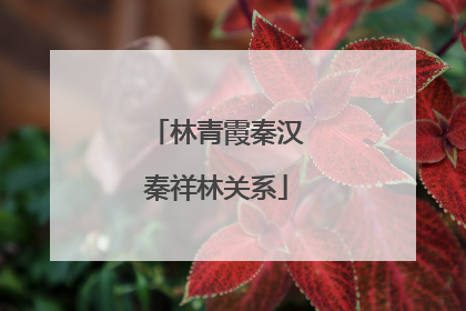 林青霞秦汉秦祥林关系