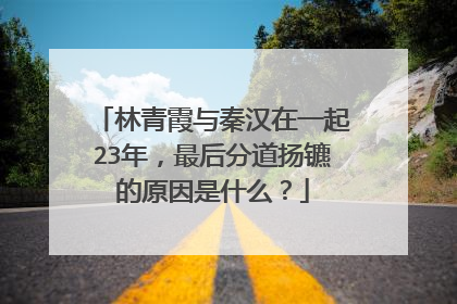 林青霞与秦汉在一起23年，最后分道扬镳的原因是什么？