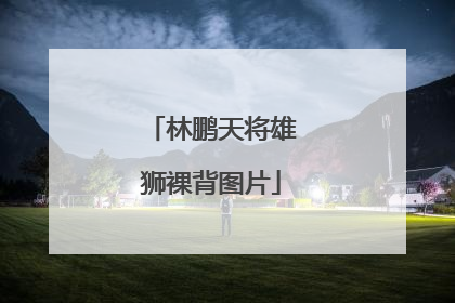 林鹏天将雄狮裸背图片