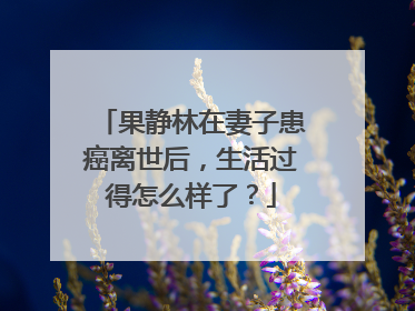 果静林在妻子患癌离世后，生活过得怎么样了？