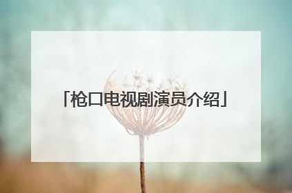 枪口电视剧演员介绍