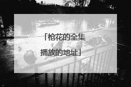 枪花的全集播放的地址