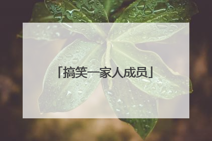搞笑一家人成员