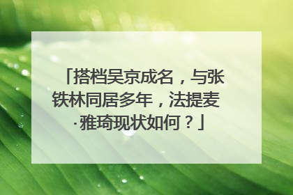 搭档吴京成名,与张铁林同居多年,法提麦·雅琦现状如何?