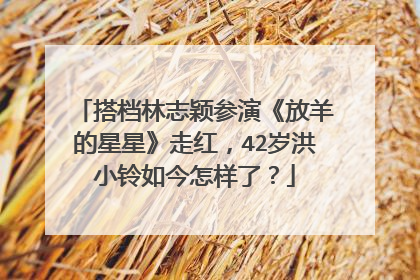 搭档林志颖参演《放羊的星星》走红，42岁洪小铃如今怎样了？