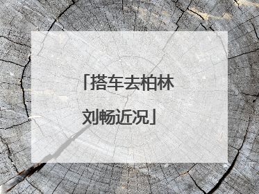 搭车去柏林刘畅近况