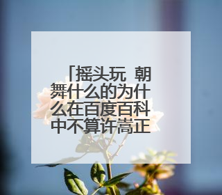 摇头玩 朝舞什么的为什么在百度百科中不算许嵩正式发布的歌曲