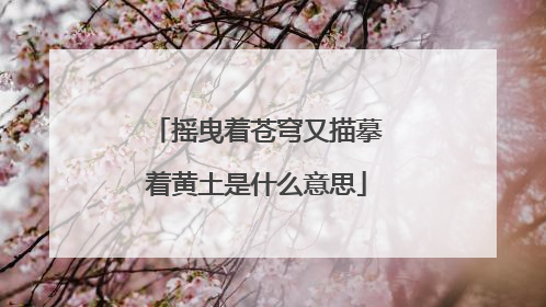 摇曳着苍穹又描摹着黄土是什么意思
