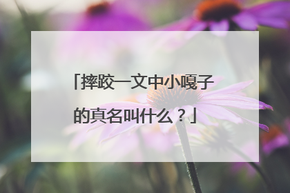 摔跤一文中小嘎子的真名叫什么？