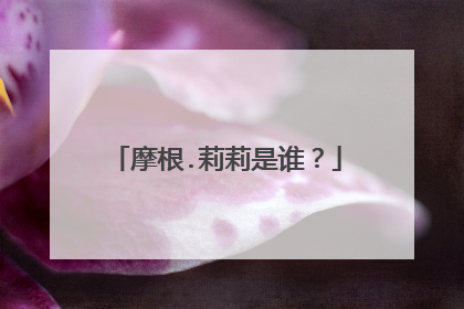 摩根.莉莉是谁?