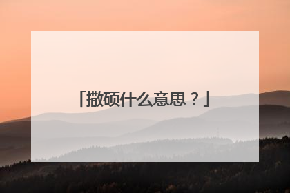 撒硕什么意思？