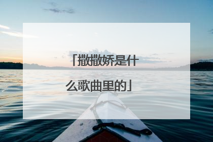 撒撒娇是什么歌曲里的