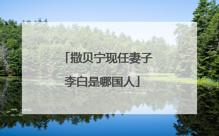 撒贝宁现任妻子李白是哪国人