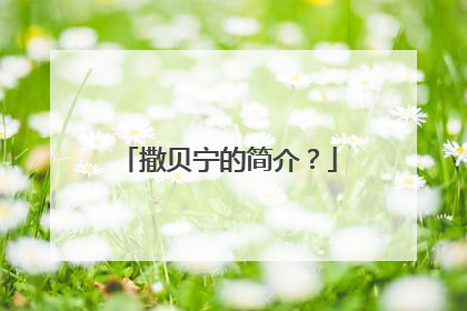 撒贝宁的简介？