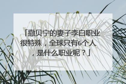 撒贝宁的妻子李白职业很特殊,全球只有6个人,是什么职业呢?