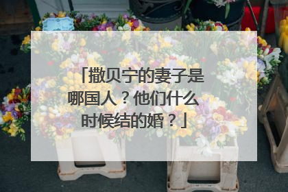 撒贝宁的妻子是哪国人？他们什么时候结的婚？