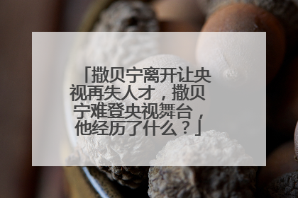 撒贝宁离开让央视再失人才,撒贝宁难登央视舞台,他经历了什么?