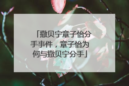 撒贝宁章子怡分手事件,章子怡为何与撒贝宁分手